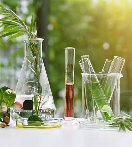 Life Science